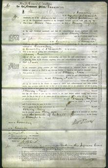 Court of Common Pleas - Mary Ann Taylor-Original Ancestry