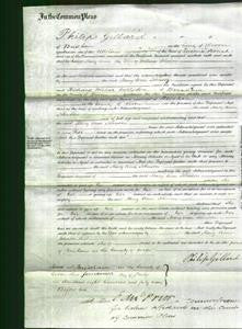 Court of Common Pleas - Mary Ann Johnson-Original Ancestry