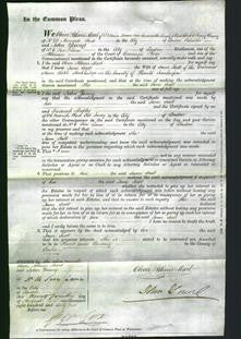 Court of Common Pleas - Jane Scott-Original Ancestry