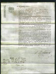 Court of Common Pleas - Harriet Willson-Original Ancestry