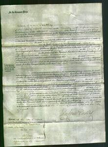 Court of Common Pleas - Anne Hemmings-Original Ancestry