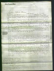 Court of Common Pleas - Isabella Norton and Emily Over-Original Ancestry