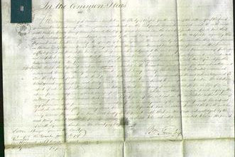 Court of Common Pleas - Mary Anne Rodwell-Original Ancestry