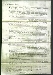 Court of Common Pleas - Sophia Kelly-Original Ancestry