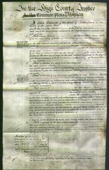 Court of Common Pleas - Eleanor Maltby-Original Ancestry