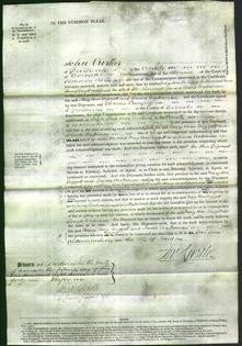 Court of Common Pleas - Mary Ann Wiggett and Louisa Wakeman-Original Ancestry