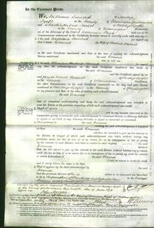 Court of Common Pleas - Emma Morris-Original Ancestry