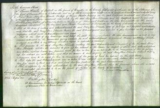 Court of Common Pleas - Mary Ann Florinda Binning-Original Ancestry