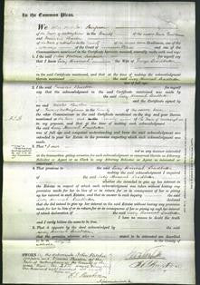 Court of Common Pleas - Lucy Hannah Leadbetter-Original Ancestry