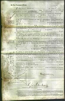 Court of Common Pleas - Isabella Thornton-Original Ancestry