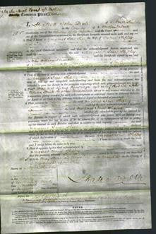 Court of Common Pleas - Margaret Jane Shipley-Original Ancestry