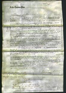 Court of Common Pleas - Williamina Sarah Whyman-Original Ancestry