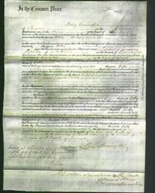 Court of Common Pleas - Betty Bell-Original Ancestry