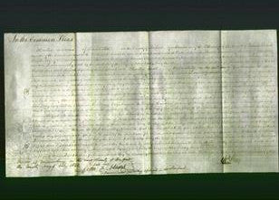 Court of Common Pleas - Lucy Hodgetts Doody, Lucy Hodgetts Jones and Eliza Russell Hodgetts Alport-Original Ancestry