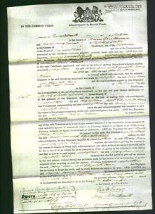 Court of Common Pleas - Mary Ann Reynolds and Elizabeth Rowe Selleck-Original Ancestry