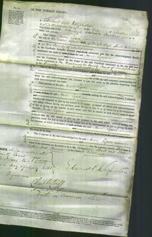 Court of Common Pleas - Anne Lynn-Original Ancestry