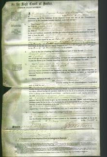 Court of Common Pleas - Isabella Eugenia Jones and Caroline Balderson-Original Ancestry
