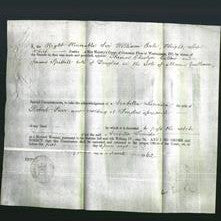 Appointment of Special Commisioners - Thomas Cheslyn Callow and James Spittall-Original Ancestry