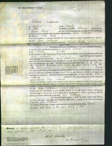 Court of Common Pleas - Ann Catherine Rolfe-Original Ancestry