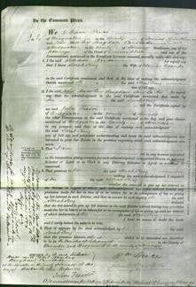 Court of Common Pleas - Sarah King Coombs-Original Ancestry