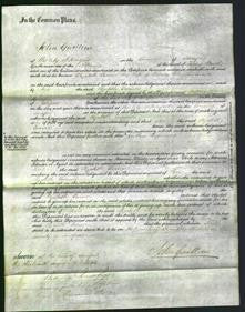 Court of Common Pleas - Elizabeth Turner-Original Ancestry