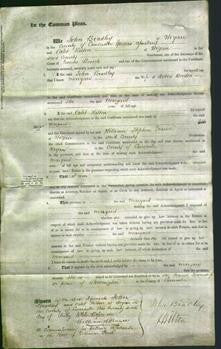 Court of Common Pleas - Margaret Barton-Original Ancestry