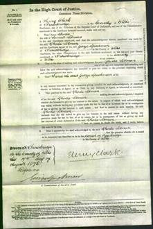 Court of Common Pleas - Rhoda Litman-Original Ancestry