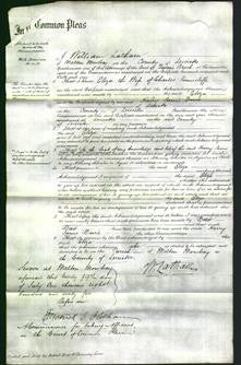 Court of Common Pleas - Eliza Tunnicliff-Original Ancestry