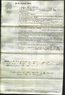 Court of Common Pleas - Jane Ritchie-Original Ancestry