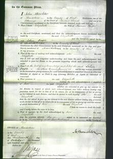 Court of Common Pleas - Elizabeth Taylor-Original Ancestry