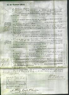 Court of Common Pleas - Elizabeth Denness-Original Ancestry