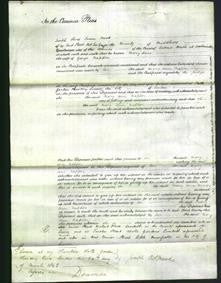 Court of Common Pleas - Mary Ann Napper-Original Ancestry