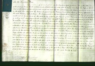 Court of Common Pleas - Ann Forge-Original Ancestry