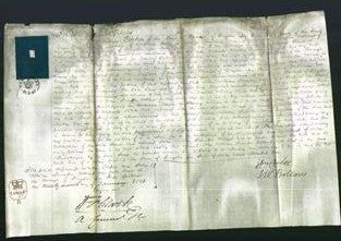 Court of Common Pleas - Jane Mitchinson-Original Ancestry