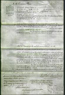 Court of Common Pleas - Sarah Webb-Original Ancestry