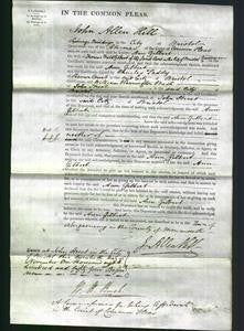 Court of Common Pleas - Ann Gilbert-Original Ancestry