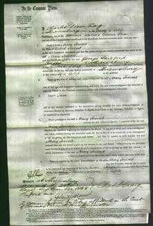 Court of Common Pleas - Mary Stewart-Original Ancestry