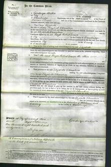 Court of Common Pleas - Elizabeth Chambers-Original Ancestry