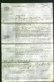 Court of Common Pleas - Ann Spike-Original Ancestry