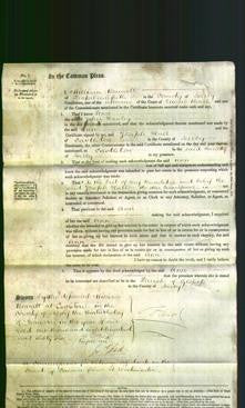 Court of Common Pleas - Ann Hanley-Original Ancestry