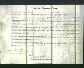 Court of Common Pleas - Anna Fell-Original Ancestry