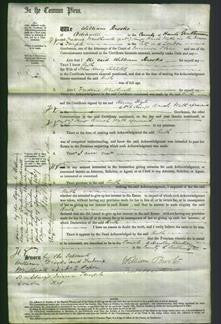 Court of Common Pleas - Ruth Holditch-Original Ancestry