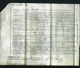 Court of Common Pleas - Caroline Weaver-Original Ancestry