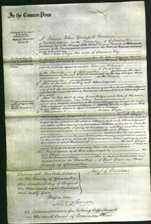 Court of Common Pleas - Eliza Sly-Original Ancestry