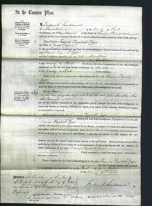 Court of Common Pleas - Francis Elizabeth Gape-Original Ancestry