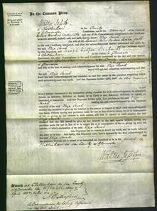 Court of Common Pleas - Eliza Sarah Gabb-Original Ancestry