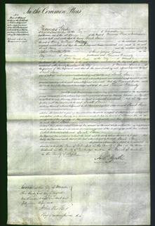 Court of Common Pleas - Sarah Stone Fosbery-Original Ancestry