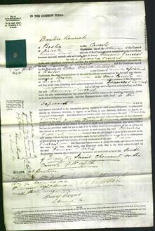 Court of Common Pleas - Frances Vincent-Original Ancestry