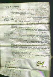 Court of Common Pleas - Alice Whittaker and Elizabeth Jones-Original Ancestry