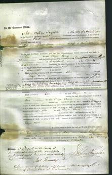 Court of Common Pleas - Eliza Ann Ligoinala-Original Ancestry